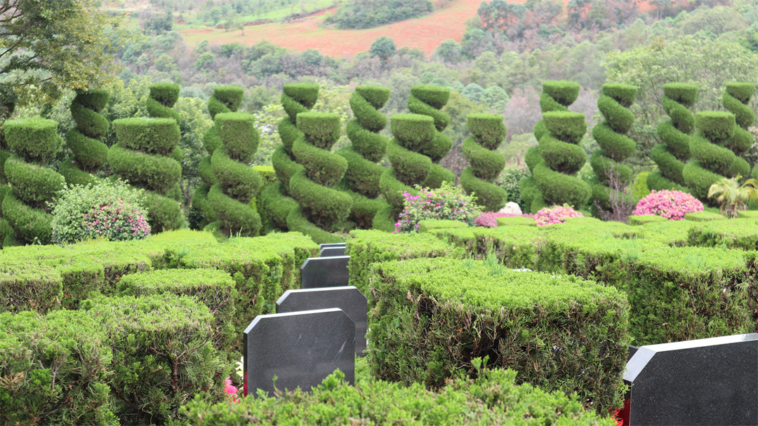 昆明宝象山园区绿化景观